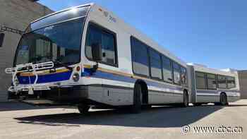 25-year transit master plan approved by executive committee, headed to Regina city council