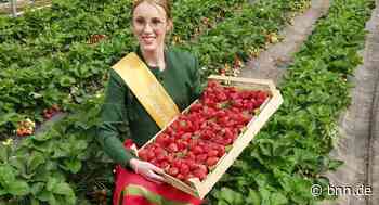 Große Fragezeichen zum Start der Erdbeer-Saison in Oberkirch - BNN - Badische Neueste Nachrichten