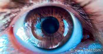 The Quickest Way to Keep Your Contact Lenses Fresh While Traveling     - CNET