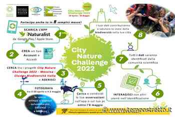 “City nature challenge” a Messina, ecco come partecipare - Tempo Stretto