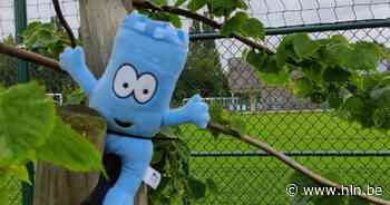 Nieuwe VakantieZapper biedt ook speelpleinwerking voor +12-jarigen | Mechelen | hln.be - Het Laatste Nieuws