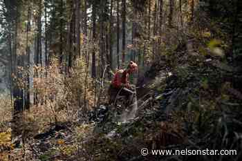 Vaccine policy to remain in place for BC Wildfire Service – Nelson Star - Nelson Star