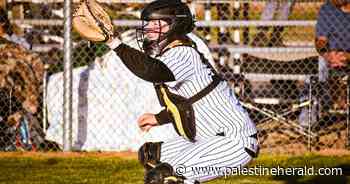 Baseball Roundup: Cayuga extends win streak to four - Palestine Herald Press