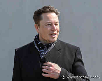 Twitter alternatives are surging thanks to Elon Musk