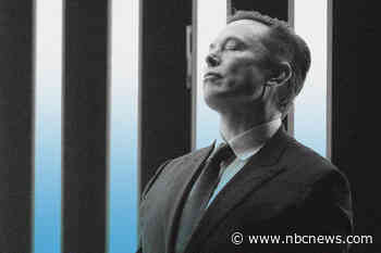 Experts on robber barons agree: Elon Musk is something new