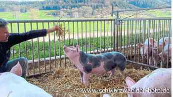 »Rosenfeld live« - Erlebnistage geben Einblick in Natur - Schwarzwälder Bote