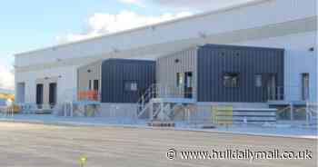 Delays to checks on EU food imports 'deeply worrying', Hull port health boss says - Hull Live