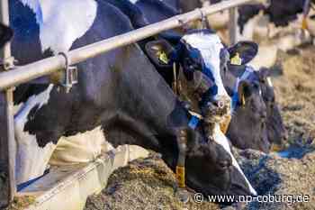 Agrar - Genossenschaften: Viele Milchbauern werden aufhören - Neue Presse Coburg