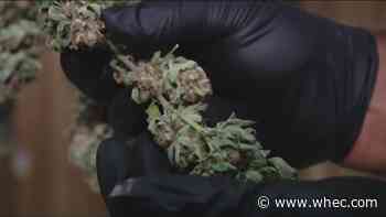 Local assemblyman announces plan to regular marijuana industry tighter