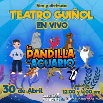 Llega la pandilla del acuario de Veracruz - plumas libres