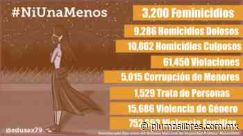 Feminicidios y Violencia a las mujeres/Columna - plumas libres