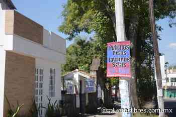 Retira Ayuntamiento de Xalapa publicidad en más de mil postes - plumas libres