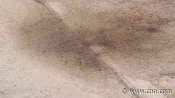 Graphic photos captured in Bucha reveal Russian atrocities