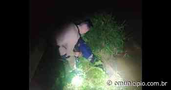 Três homens assaltam casa em Brusque e um deles é preso em emboscada - O Município