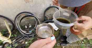 Brusque tem o maior número de casos confirmados de dengue de toda a região; veja o comparativo - O Município