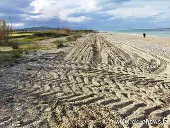Scerne di Pineto, due km di litorale spianato e vegetazione costiera devastata: esposto della SOA - ekuonews.it