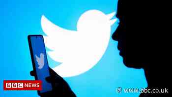 Twitter adds 30 million new users in run up to Musk sale