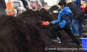 Free compost giveaways being held in Durham - durhamregion.com