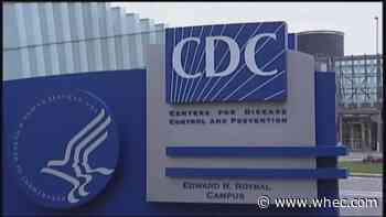 CDC reports US' first case of bird flu associated with recent strains in human