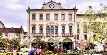 Este in fiore, un grande successo dopo due anni di stop forzato. E oggi spazio alla cultura... - TG Padova