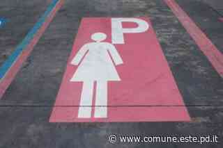 Este riattiva i Parcheggi Rosa - Città di Este - Culla dei Veneti Antichi - Comune di Este