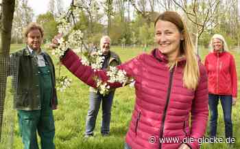Heimatverein Verl will auf Obstwiese aufmerksam machen - Die Glocke
