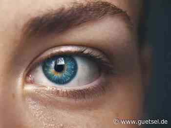 Verl, Vortrag, trotz Sehbehinderung den Alltag meistern, Gütsel Online - Gütsel