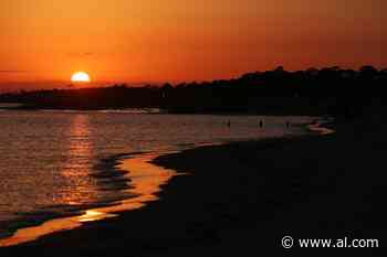 Dauphin Island offers consolidated beach access, including $150 season parking pass - AL.com