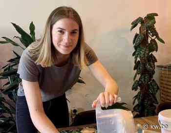 Ellen zorgt voor beurs vol creativiteit in Het Zonneke in Ardooie - KW.be - KW.be