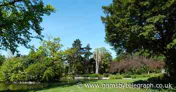 Anger as gang of youths target disabled people in Grimsby's People's Park - Grimsby Live