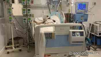Trasplantan hígado de donador con covid a niña en Monterrey - ABC Noticias MX