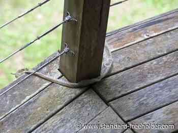 Handyman Hints: Why we rail to survive the shake test - Standard Freeholder