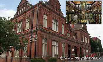 Ipswich Museum advertises for £35000-a-year 'social justice' curator to 'decolonise' collections - Daily Mail