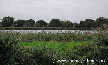 Plan for 76 retirement homes in Woodberry Down gets thumbs-up - Hackney Citizen