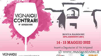 "Vignaioli Contrari", degustazioni nella splendida cornice di Rocca Rangoni - ModenaToday