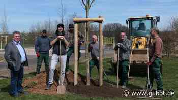 LGS Fulda: Hessens Junggärtner stiften Bäume - GABOT