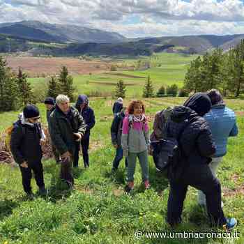 A Forcatura di Foligno si festeggia la Primavera con le erbe spontanee - Il quotidiano che racconta l'Umbria - Umbria Cronaca