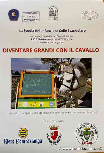Foligno, “Diventare grandi con il cavallo”: dedicato ai bambini - Il quotidiano che racconta l'Umbria - Umbria Cronaca