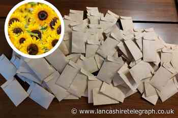 Langho: Village to be given hundreds of sunflowers seeds to support Ukraine
