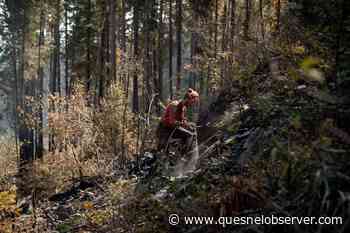 Vaccine policy to remain in place for BC Wildfire Service – Quesnel Cariboo Observer - Quesnel - Cariboo Observer