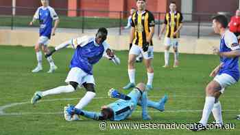 Bathurst '75s want an improved start when they travel to face Dubbo Bulls in Western Premier League - Western Advocate