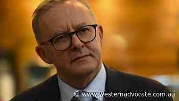 Albanese returns to campaign after COVID - Western Advocate