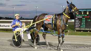 Bathurst's top two and three-year-olds set to race in APG Gold Bullion Series Finals - Western Advocate