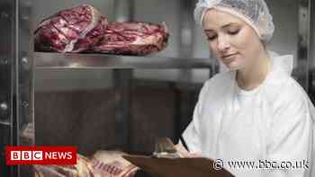 Brexit import checks delayed for fourth time