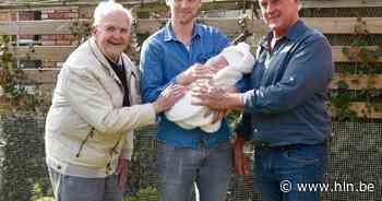 Kleine Phil zorgt voor viergeslacht bij familie de Ryck - Het Laatste Nieuws