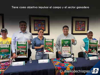 Anuncian Expo Ganadera en Palenque - Diario de Chiapas