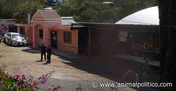 Identifican a víctimas del ataque en palenque de Zinapécuaro, Michoacán; tres tenían ciudadanía de EU - Animal Político