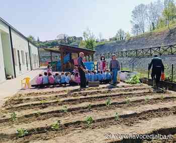 Vezza d'Alba, fragole ed erbe officinali nel nuovo orto didattico della materna - LaVoceDiAlba.it