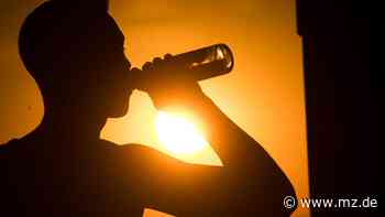 In Zeitz steht die Alkoholsucht in der Drogenstatistik an erster Stelle - Mitteldeutsche Zeitung
