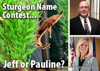 Friends of the St. Clair River partners with local leaders - New Baltimore Voice Newspapers